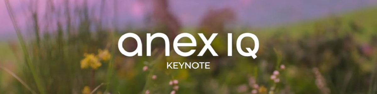 Новий дитячий візочок 2023 року Anex iQ